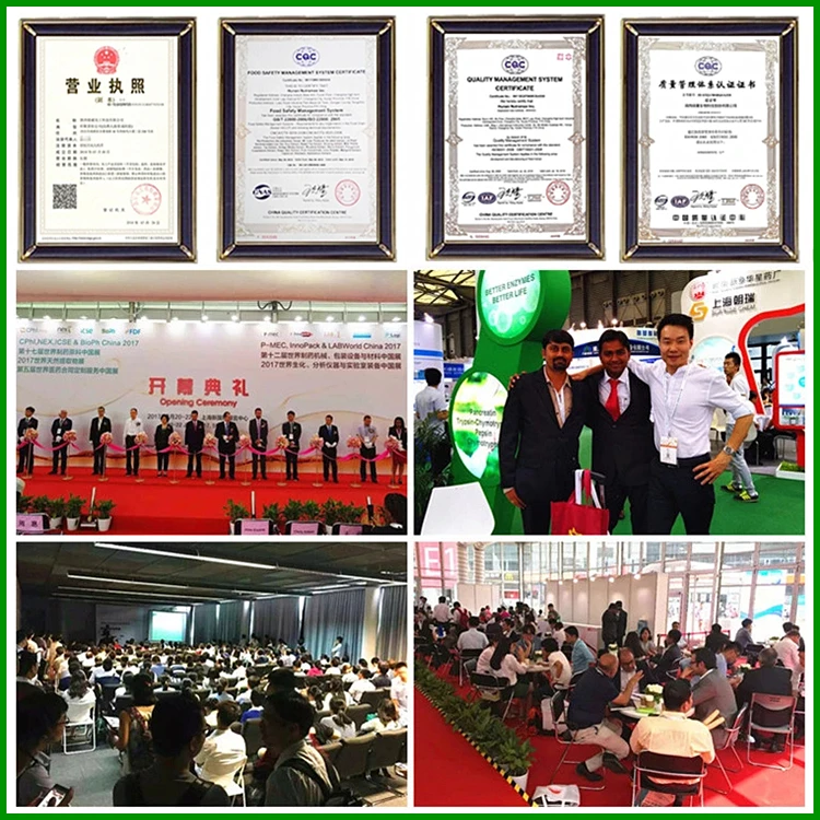 Food grade royal jelly extract pure royal jelly powder royal jelly freeze dried powder