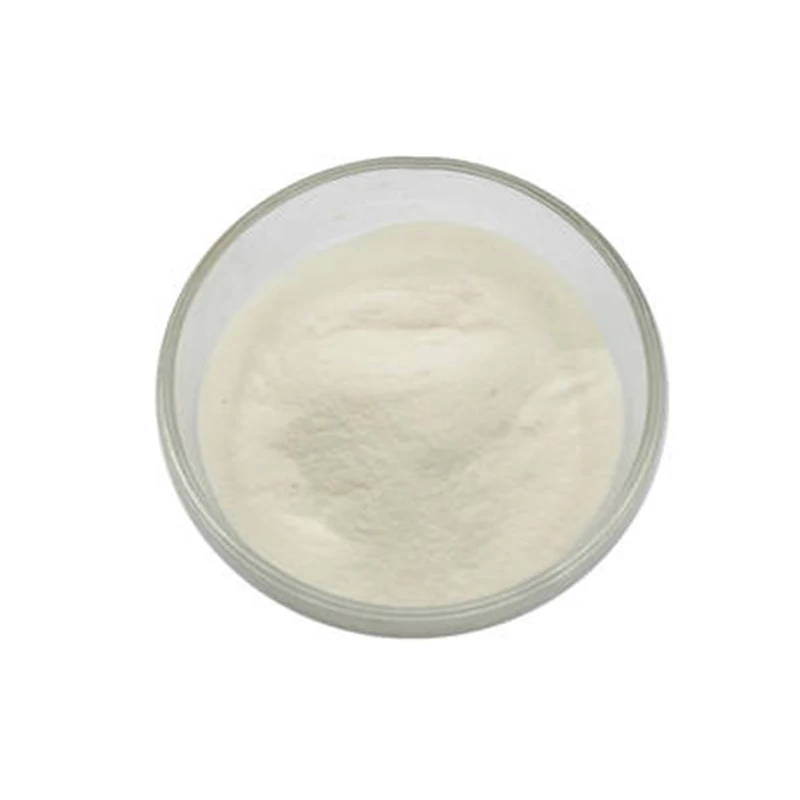 Halal Whey Protein Powder Muscle Building Powder Whey Protein Powder Manufacturer