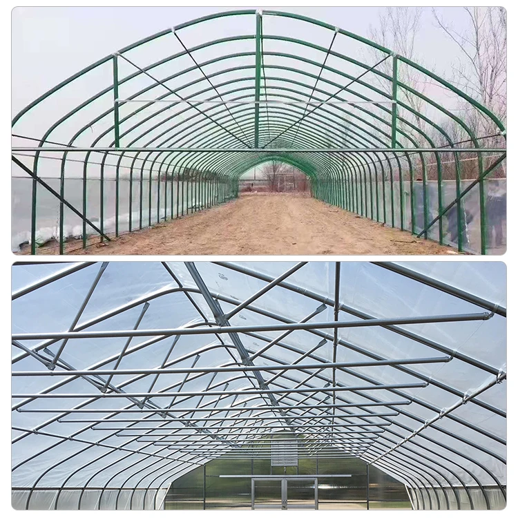 Cheap Tomato Agricultural Plastic Film Cover Low Cost Economic Tunnel Greenhouse for Vegetable