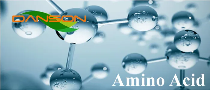 Food Grade Additive L-Cystine