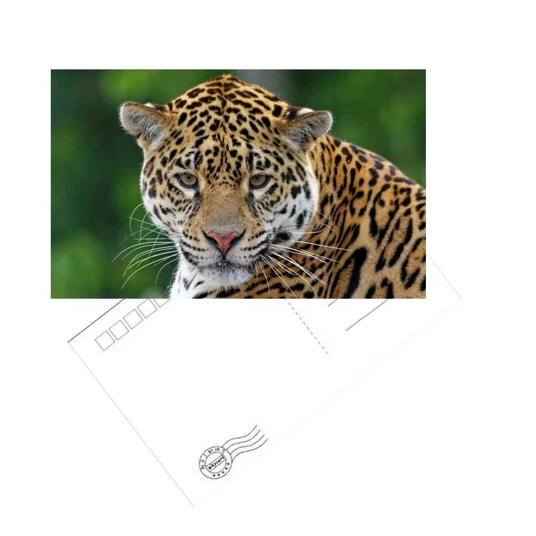 Individuality custom-made Travel gifts 3d postcard postcard book cardboard