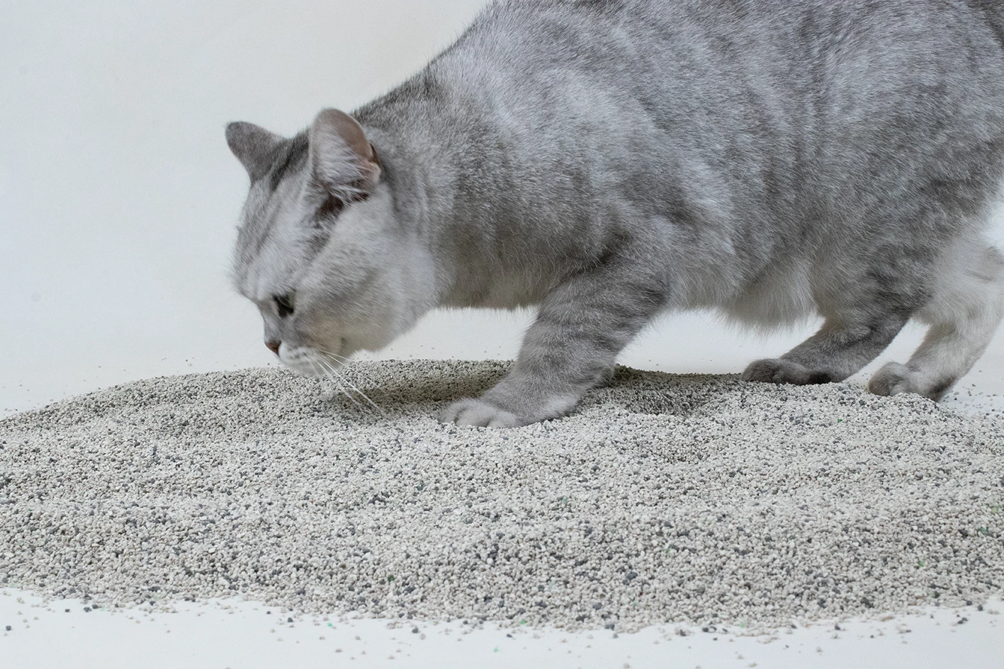 Best selling products 2024 bentonite cat litter high quality bentonite cat litter scented bentonite cat litter  with rose scent