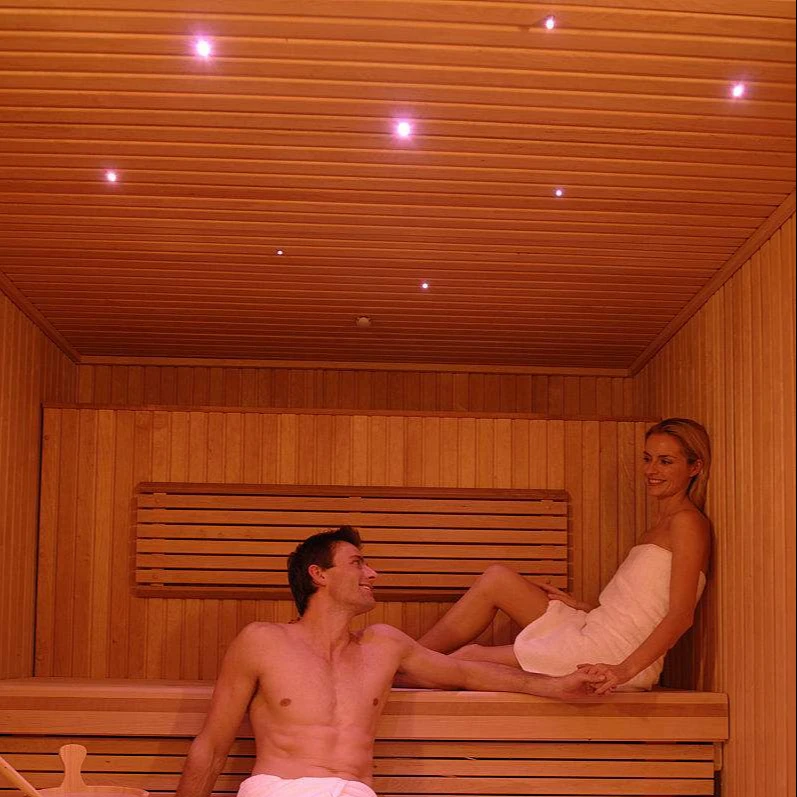 Fiber Optic Light kit for Star Ceiling Sauna Room Decorative illumination light