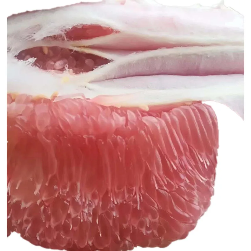 Hot citrus new season Fresh Citrus Fresh  orange gold buyers  high quality citrine  grapefruit red pomelo