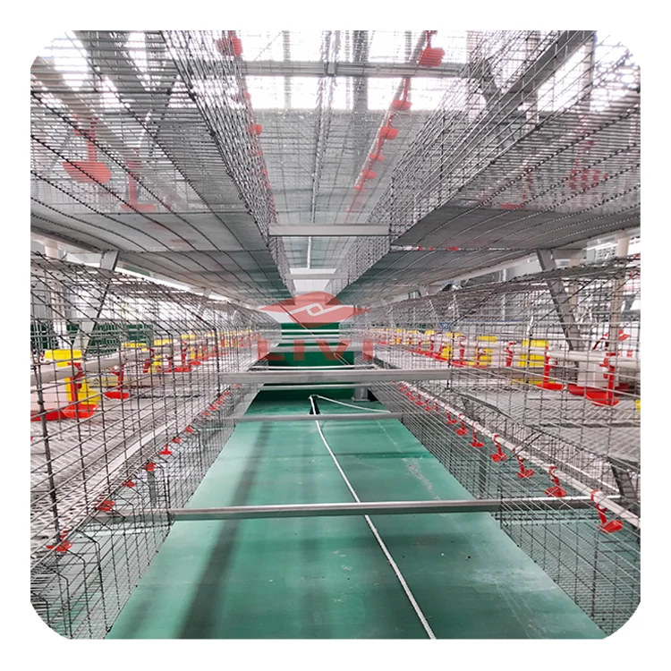 Automatic Poultry Farm Day Old Chicken Cage battery Baby Chick Brooder Cage