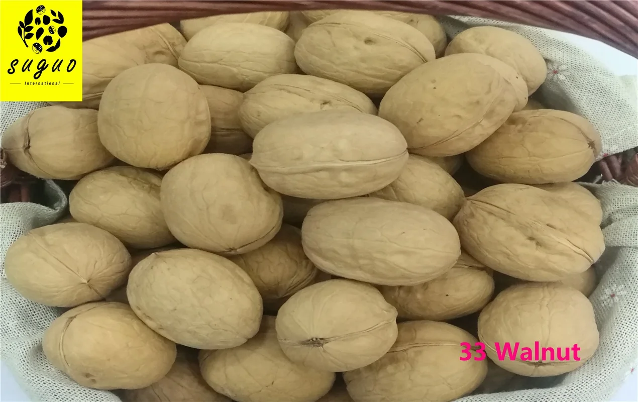 Wholesale Xinjiang Dried Raw 33 Walnut Nuts & Kernels Walnuts