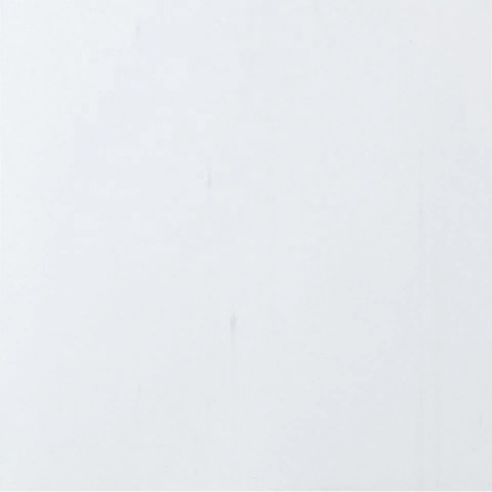 Высокое качество кварцевые ПВХ напольные плитки широко используются в жилых и коммерческих