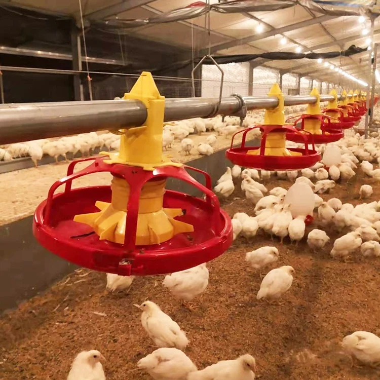 High Quality Fully Automatic Broiler Farm Chicken Feeding Line for Poultry Feed System