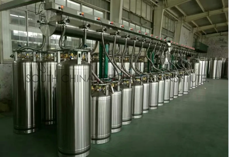 DPL Series Stainless Steel High Pressure Liquid Nitrogen Gas Cylinder Dewar