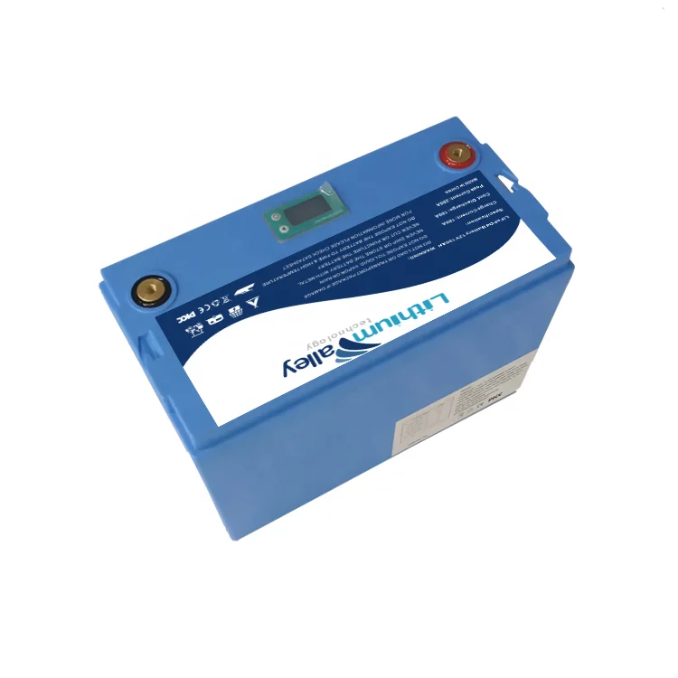  Новый перезаряжаемый BMS встроенный длительный срок службы RV lifepo4 12 в 100 Ач литий-ионные батареи глубокого цикла