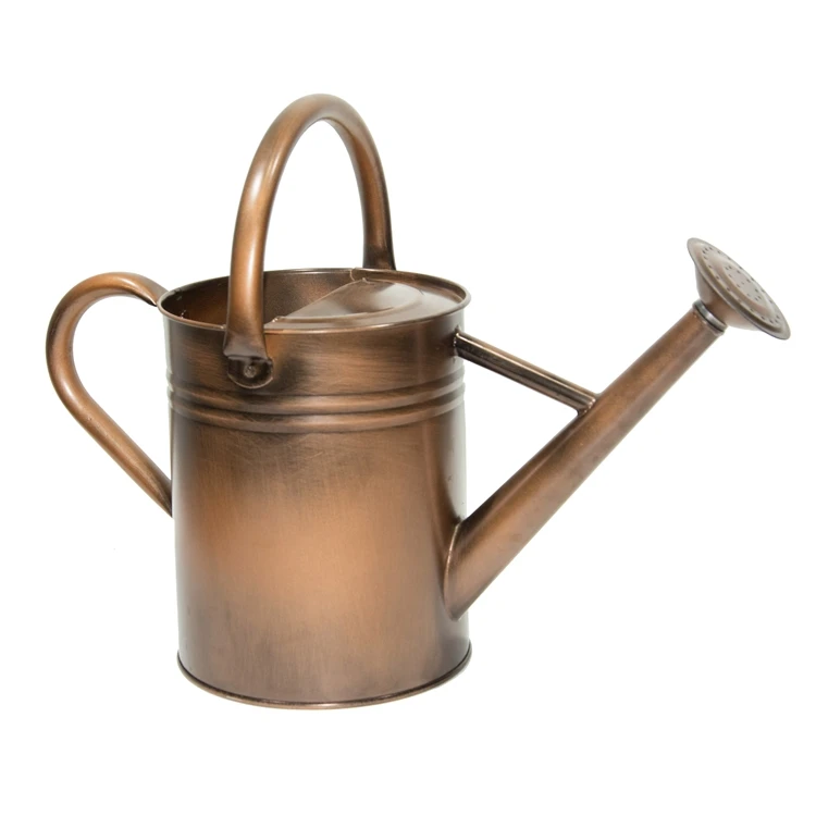 Garden supplies 3.8L water sprinkler head galvanized watering can for garden
