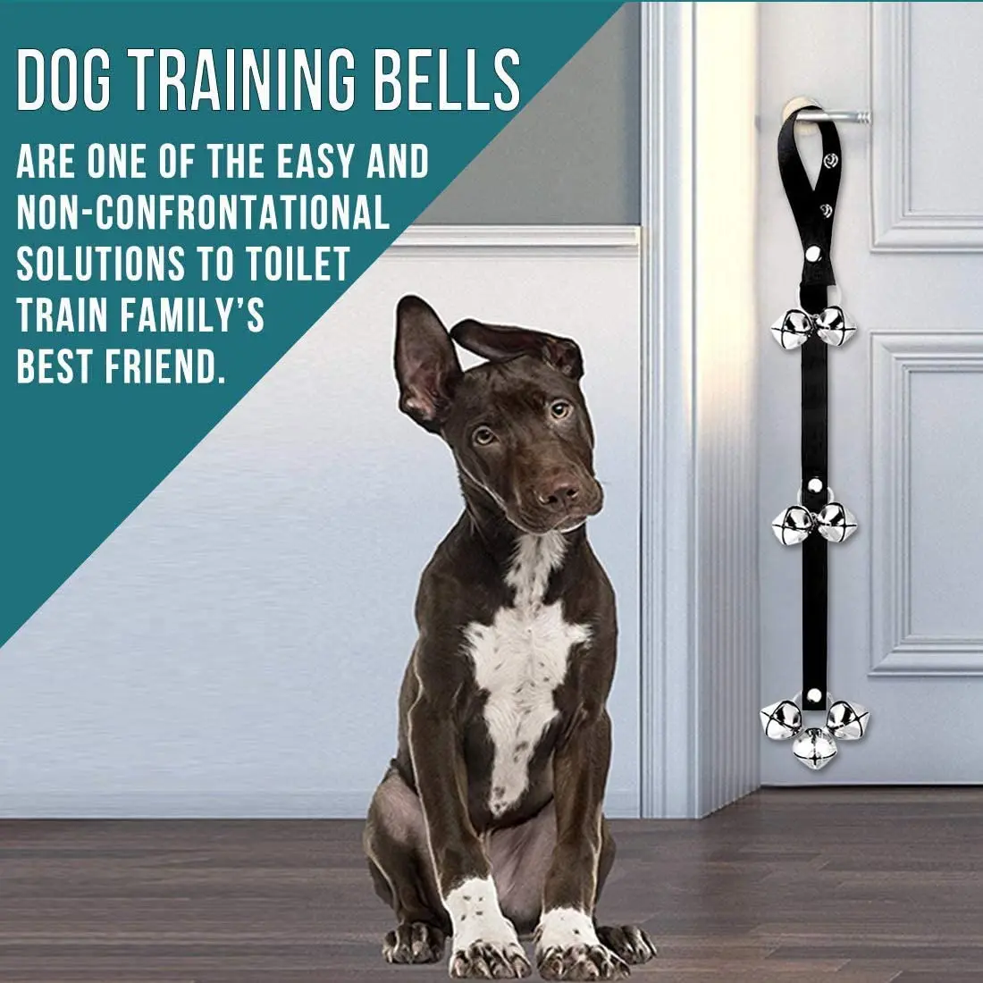 
Dog Equipment Leash Toys Pads Puppy Bells Lead Harness Whistle Dogs Items Accessories Device Gold Chain Pet Training Products 