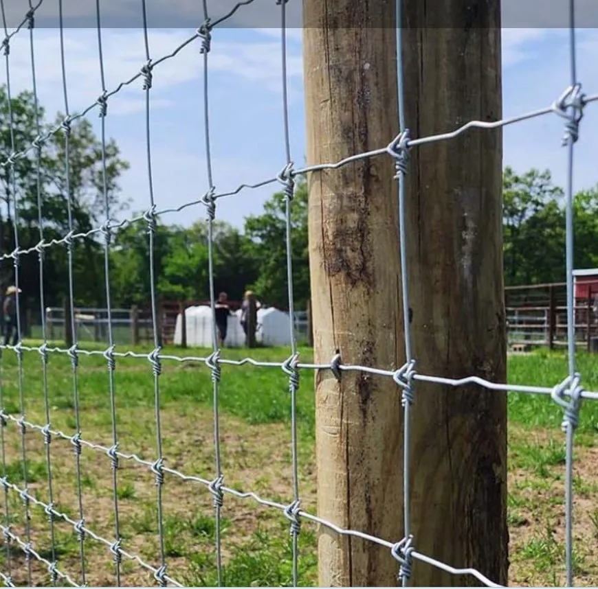hot sales heavy-zinc coated galvanized steel  Farm Filed Fence Cattle Sheep Deer Farm Fence