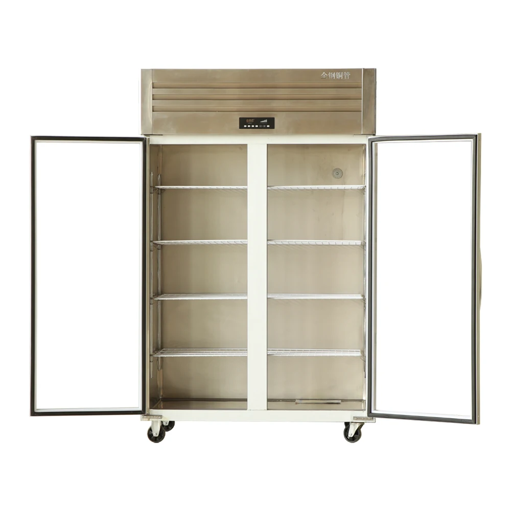 2022 Luxury Commercial Stainless Steel Vertical Kitchen Freezer Commercial Industry Vertical Commercial Refrigerator