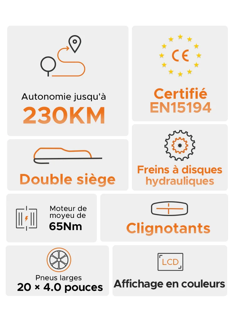 ENGWE M1 Single Battery Version  Electric Bibke  Max Speed 6KMH  48V 250W 15.6Ah Yellow Black Color EU warehouse 20*4.0 Tire