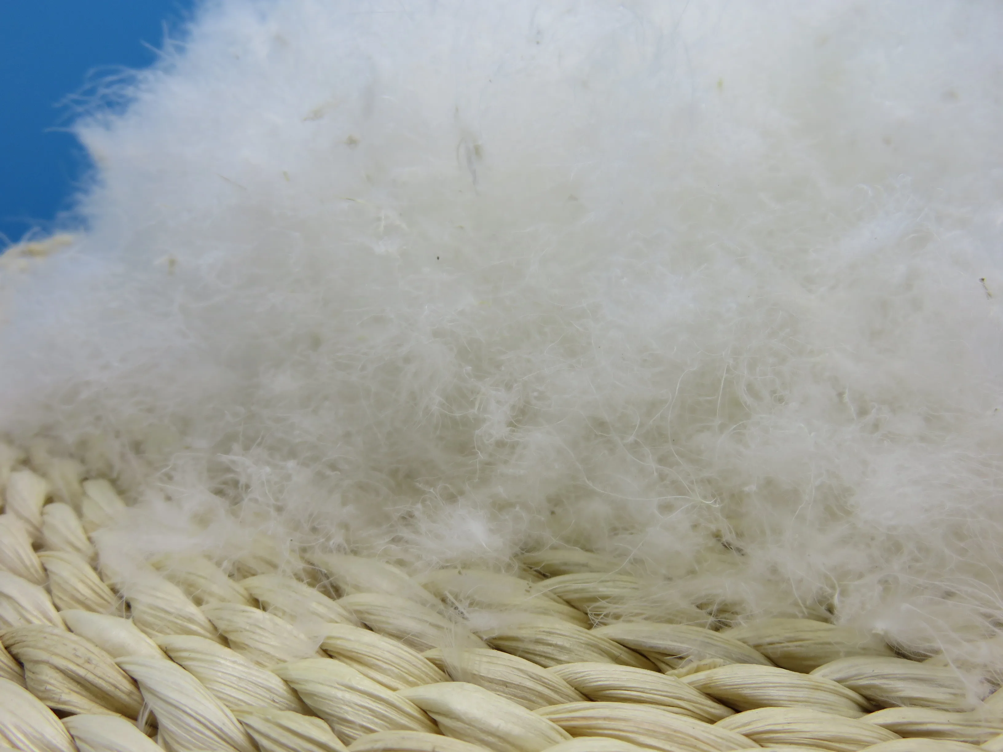 70% White Duck down Feathers Natural and Washed Product
