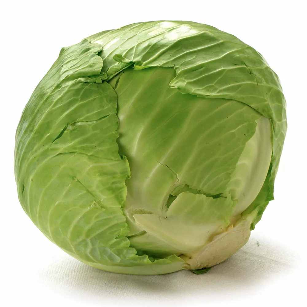 
Export organic Chinese cabbage fresh cabbage 