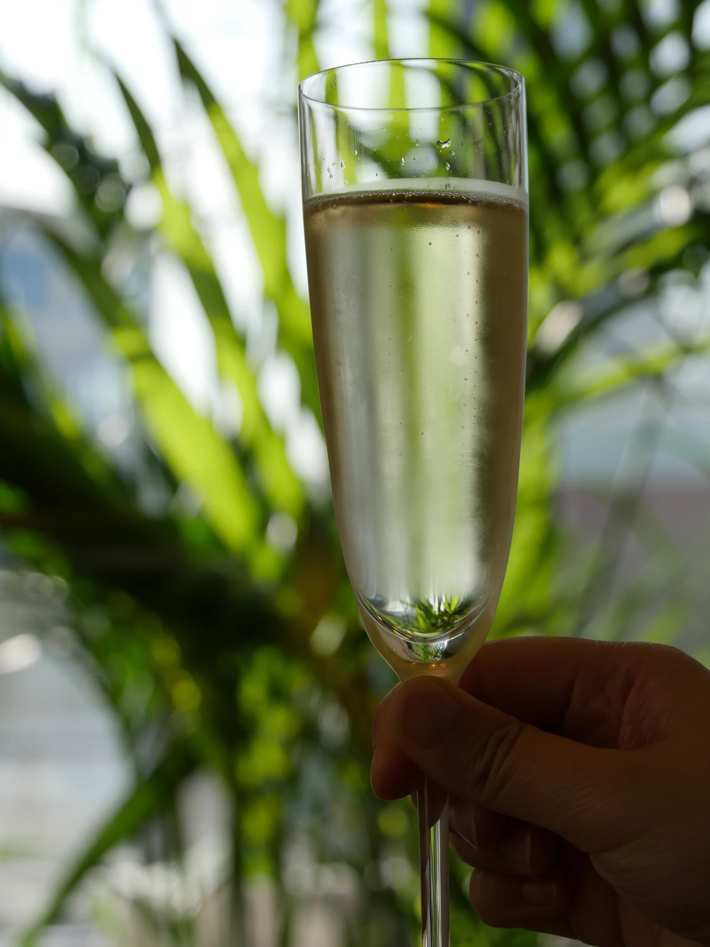 Сладкий и немного кислый вкус популярный японский сакэ набор оптом