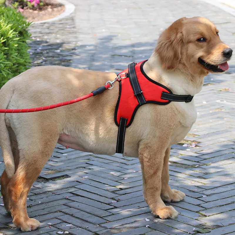 Dog Leash, Dog Rope Harness Suitable for Medium and Large Golden Retrievers, Pet Supplies
