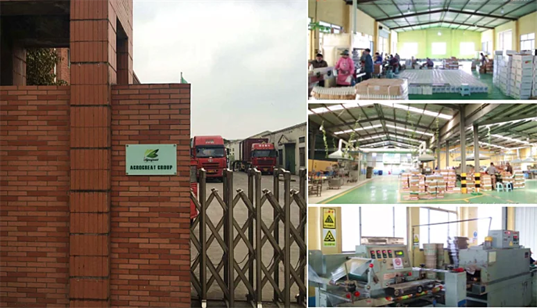 
Insecticide Thiamethoxam 75% WG, 25%WDG, 21% SC ,70% WS, 30% FS, 2% GR 153719-23-4 