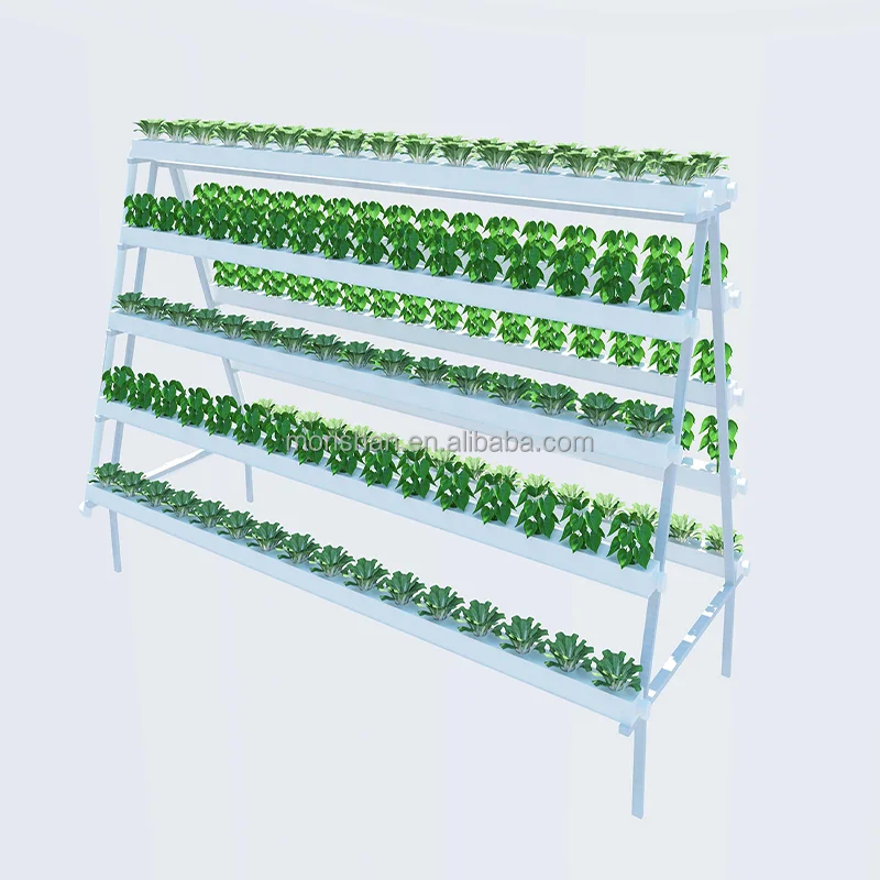 Low Cost greenhouse hydroponic strawberry vertical farming NFT cultivation system (1600288553372)