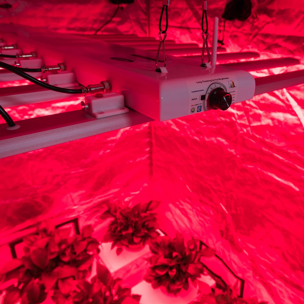 
2021 Newest Samsung Lm301h Customized Full Spetrum LED Grow Light 8 Bars 660W Smart Control System 660W for indoor plant 