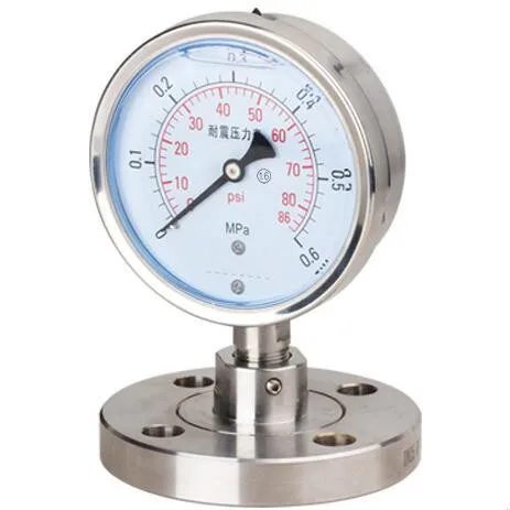 stainless steel diaphragm pressure gauge with flange bottom