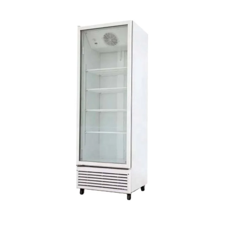 Large Capacity Commercial Display Freezers Single Glass Door Upright Freezer Direct-cooling Freezer