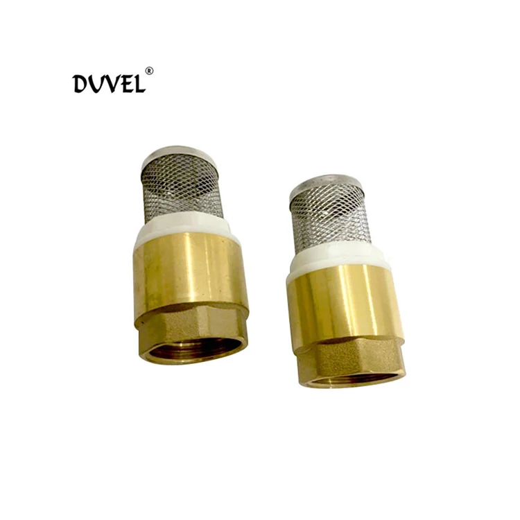 High quality products Brass Check Valves With Stainless Steel Vertical Check Valve Stainless Steel