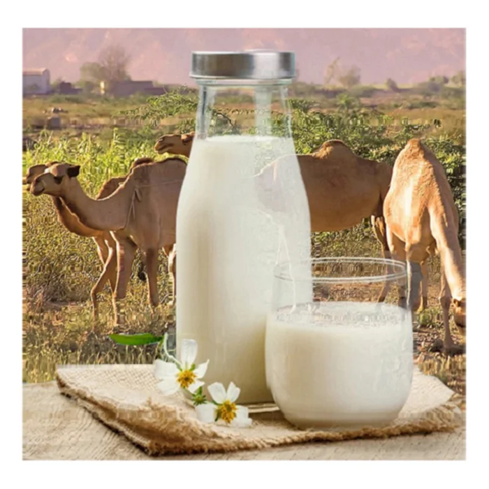 Wholesale 25 kilo cream powder milk maintain blood pressure level