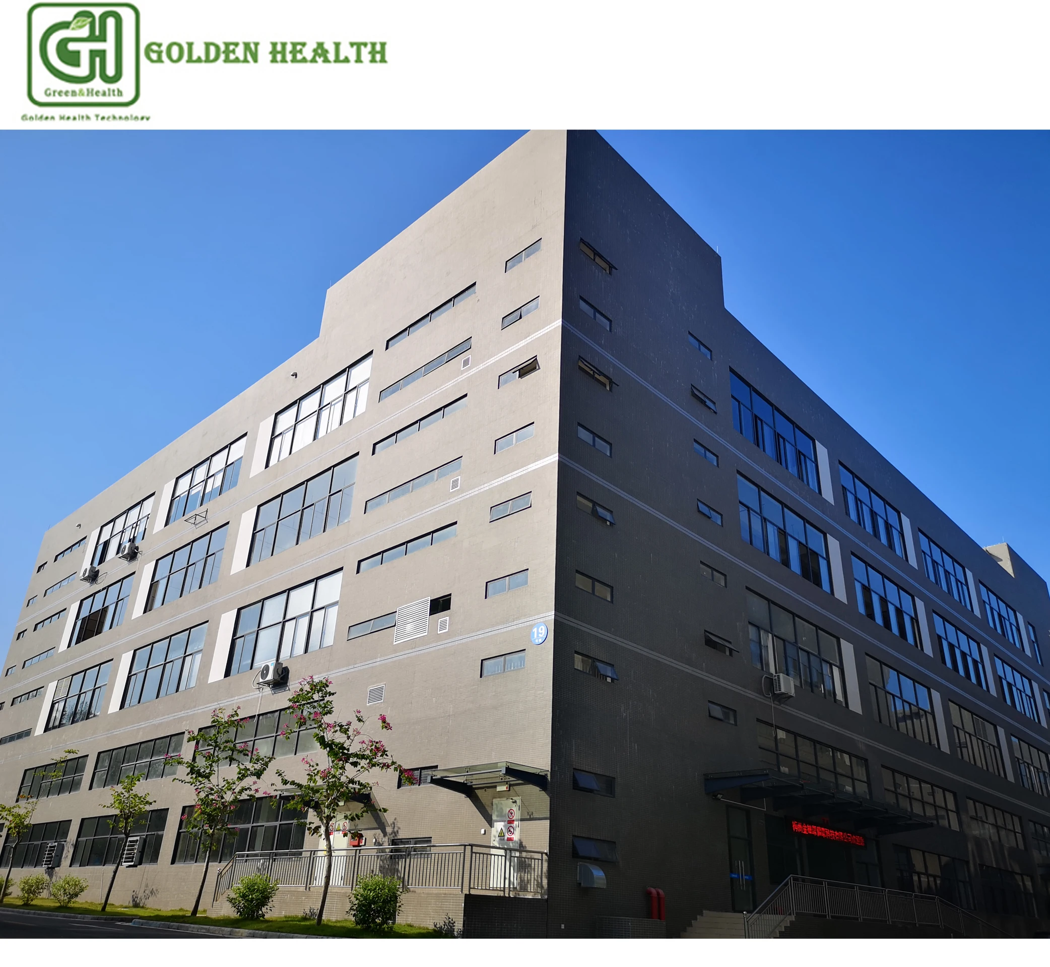 Watersoluble Isoquercitrin Enzymatically Modified Isoquercitrin  15%