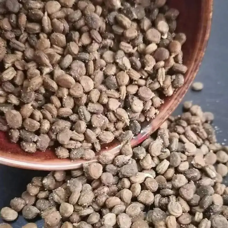 
Competitive Price Ginseng Seeds For Planting 