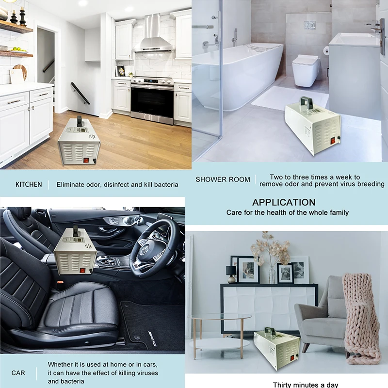 Portable Air Cleaning Equipment Gas Sterilization  Medical  Home Air Purifier Disinfector Plasma Face 220v Ozone Generator