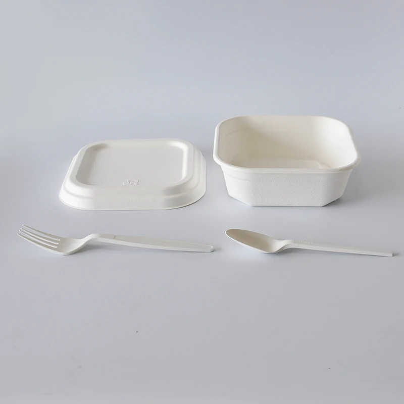 bagass take away food packing custom disposable biodegradable microwave 750ml lunch box with lid