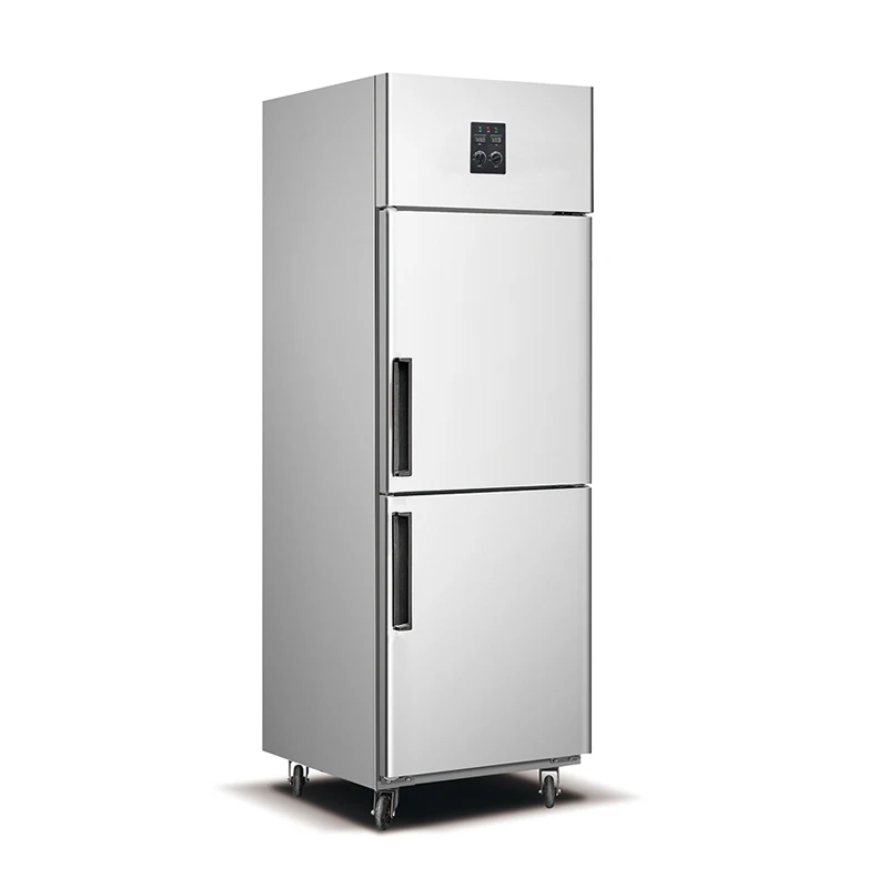 Fuqi Commercial Stainless Steel Freezer Vertical 2 Doors Fridge Refrigerator Kitchen Equipment