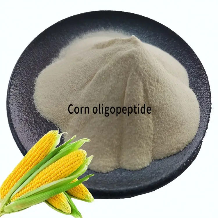 Chinese Supplier corn protein peptide powder for Nutritional Supplements