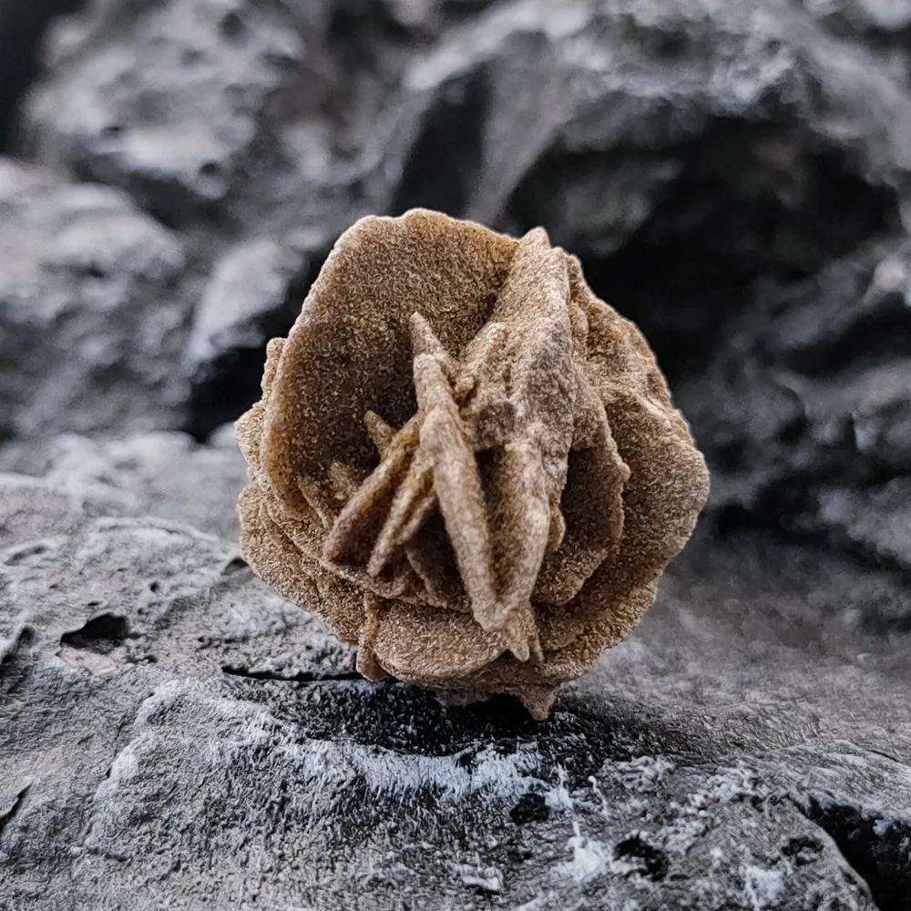 Natural desert rose plants crystals healing stones adenium seeds desert rose rough stone for decoration