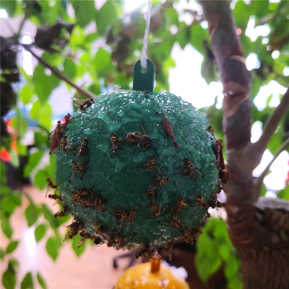 Outdoor Disposable Hanging Fly Trap ball Fruit Fly Catcher Sticky FLY Trap