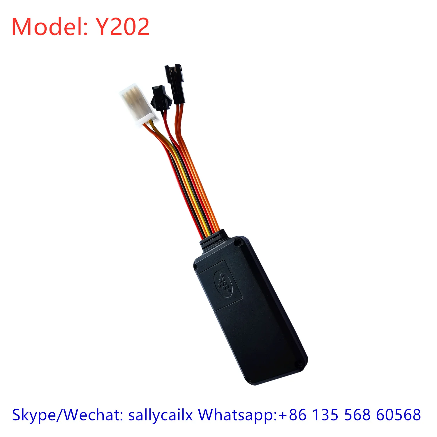 IMG_20191003_113324_