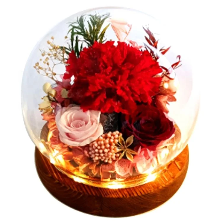 OEM Perfect Valentines Day Gifts Multiple Colours Eternal Rose Conservata Preserved Everlasting Real Rose Flower in Glass Dome