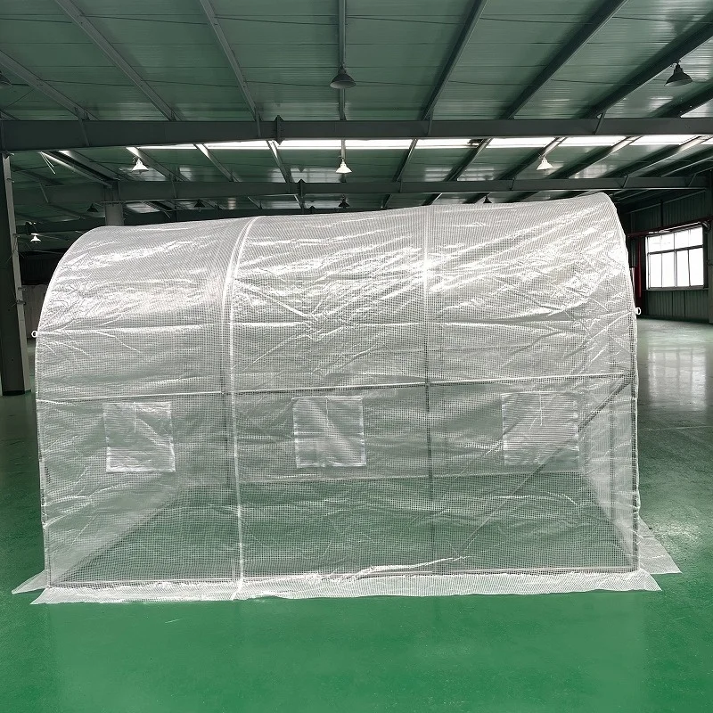 Sustainble Single Span White Plastic Fim Vegetable Growing Green House Galvanized Steel Greenhouse for Sale