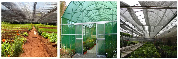 agriculture-17.jpg
