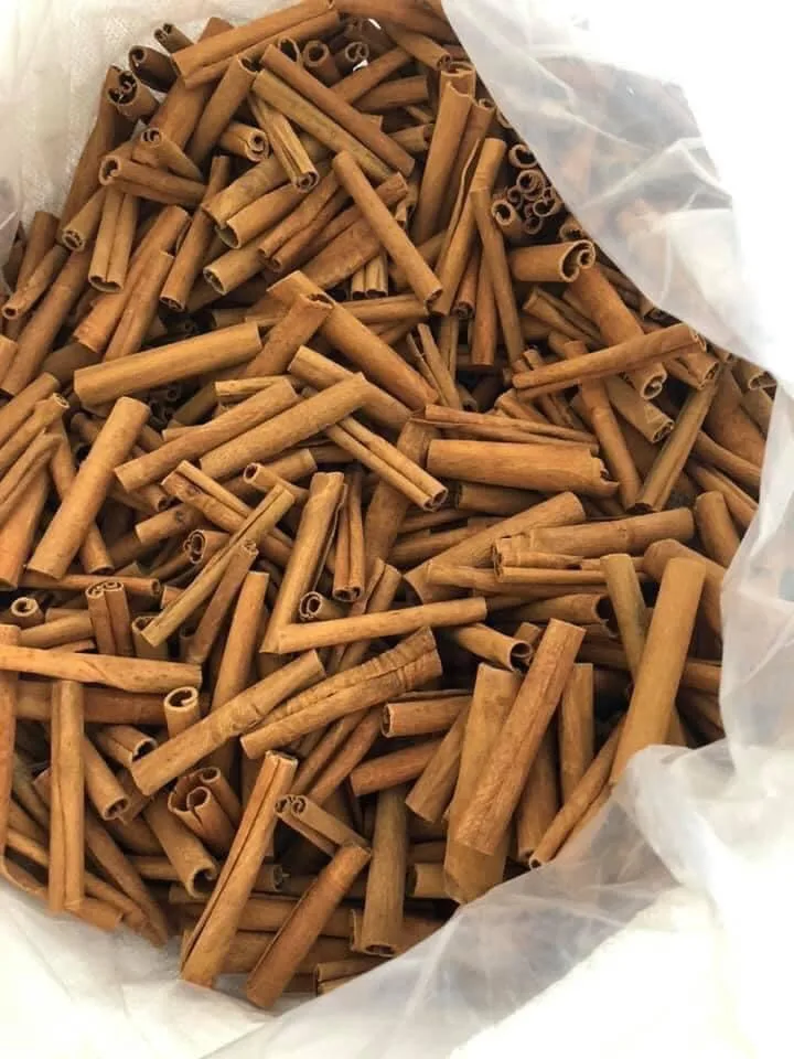 Perfect quality Cigarette Cinnamon  SPLIT CASSIA/CINNAMON Vietnam 2021 new season