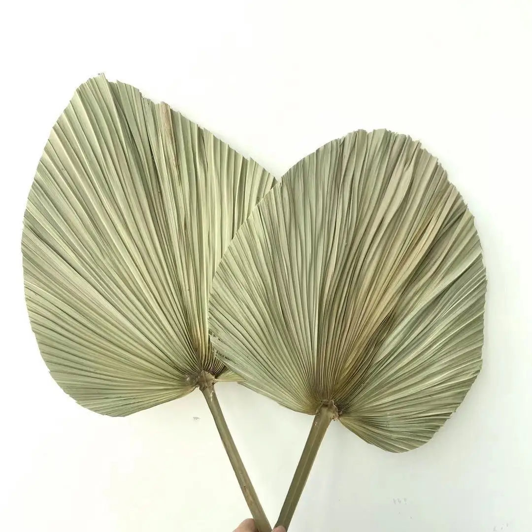 Palm Leaf Decorative Flowers  Natural Dried Palm Leaves for Wedding Home Decor