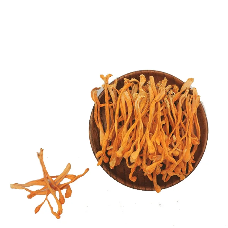 Big Spore Head Best Price High Cordycepin Organic Dried Cordyceps Militaris Cordyceps Militaris Mushroom