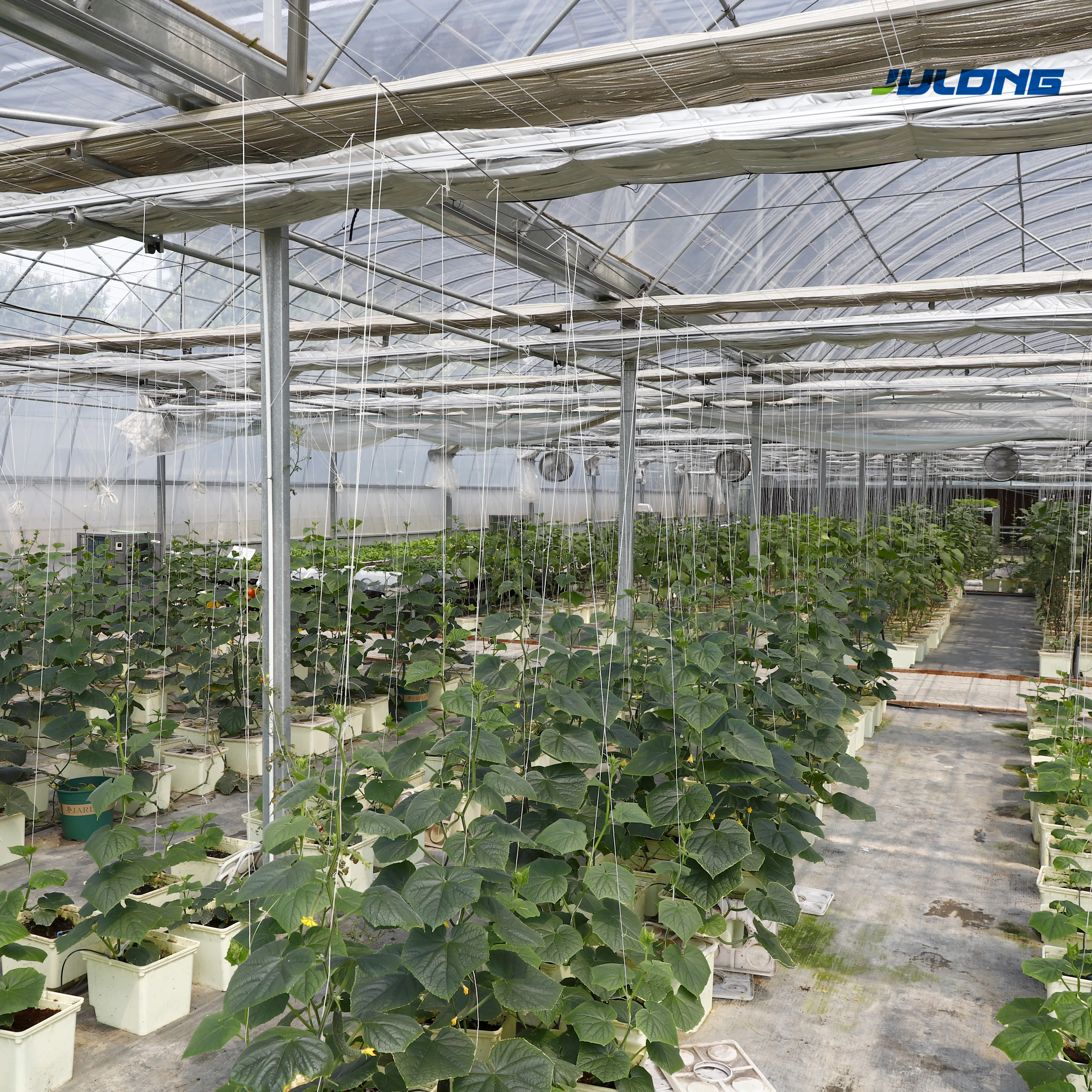 Winter Warm Greenhouse Chinese Plastic Energy Saving In-Solar Greenhouses