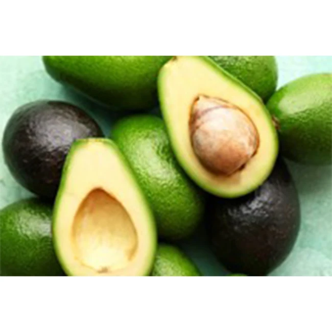 Fresh Premium Avocado From Mexico Processing Plant - High Quality, Best Price, Directly From Producers