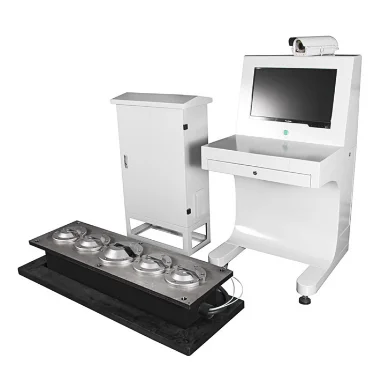 Safeagle SE-UVIS200  Fixed Under Vehicle Inspection System Car Bomb Scanner for Vehicle Scanning