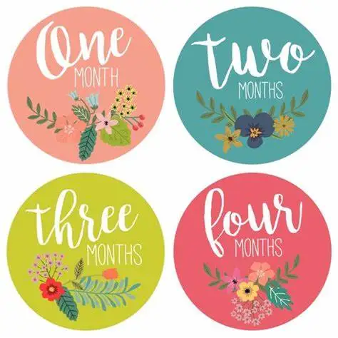 girl room shower month bedroom baby milestone sticker,hard hat bump monthly baby room decal