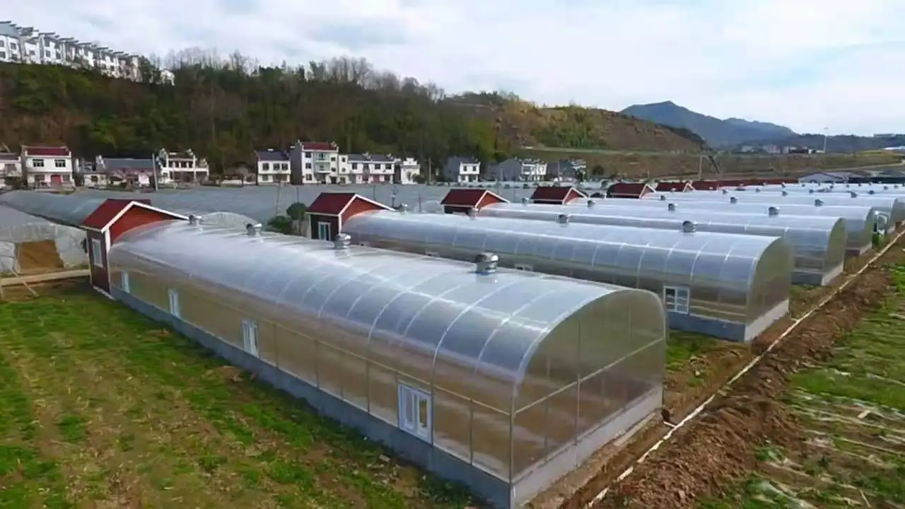 
Clear Plastic Shed Tunnel greenhouse 